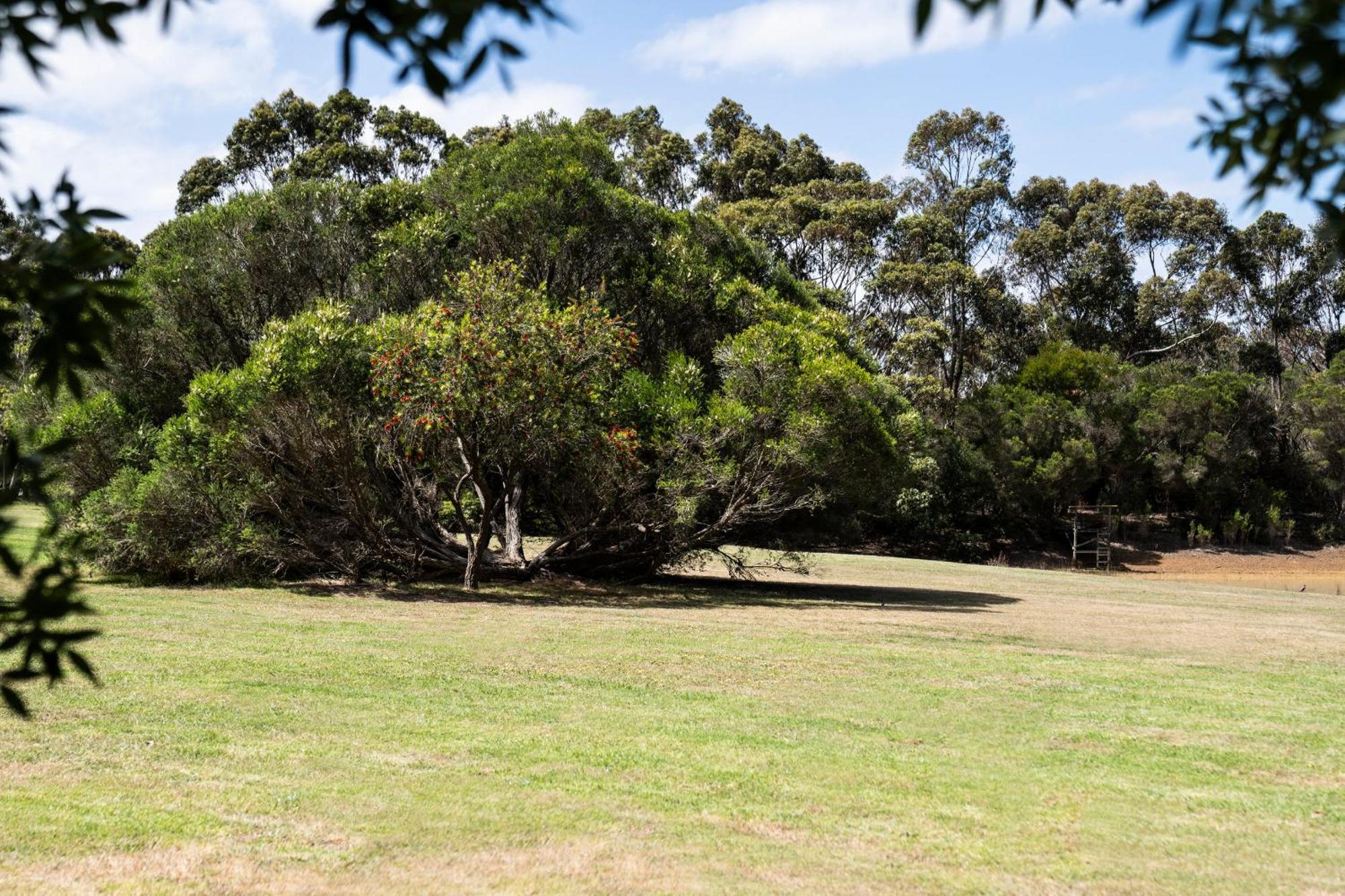 Bells Beach Cottages Bellbrae Zewnętrze zdjęcie